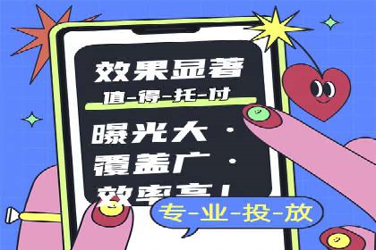 XX领域竞价广告的投放策略及效果展示